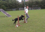 kcbehendigheid_1[1]