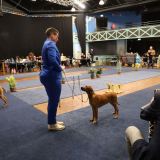 IMG_0615